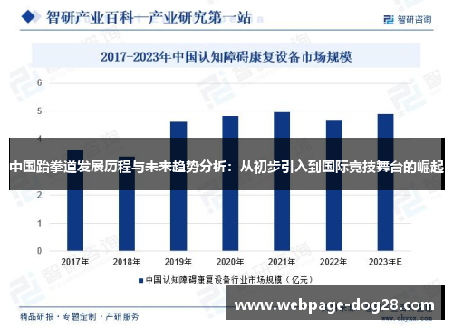 中国跆拳道发展历程与未来趋势分析：从初步引入到国际竞技舞台的崛起